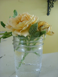 Dirt Under Fingernails