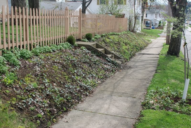 Wife, Mother, Gardener Designing a Curb Strip Planting in Lieu of Lawn