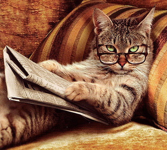 Kucing+Baca+Koran.jpg