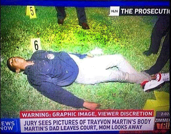 trayvon martin dead zimmerman george he vs verdict florida evidence grass truth lay