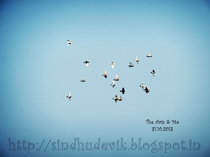 Flying Birds in the clear blue sky. What a discipline?