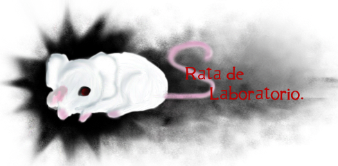 rata de laboratorio