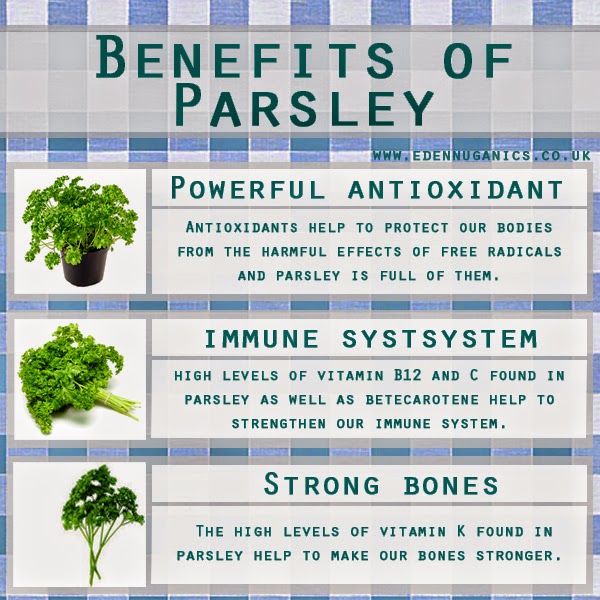 Eden Nuganics Blog Benefits and uses of parsley The worlds most used