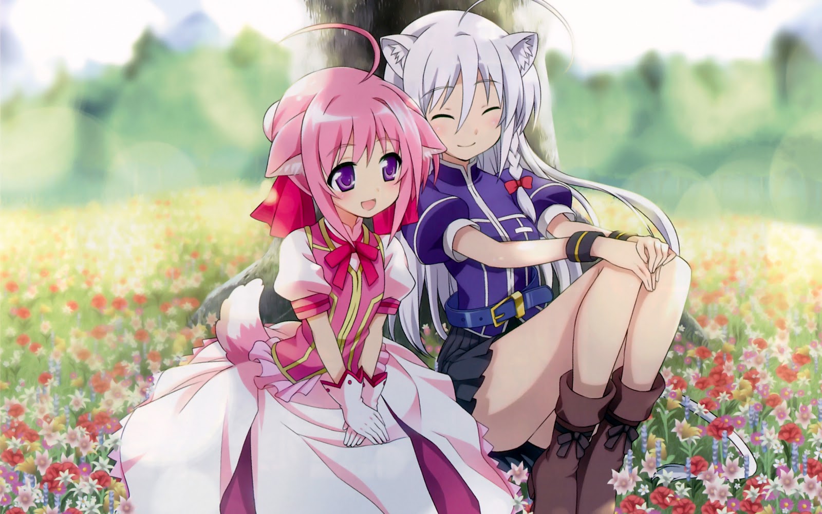Wallpapers Anime: DOG DAYS