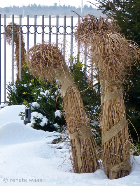 Gartenblog Geniesser-Garten : Gartenzaun