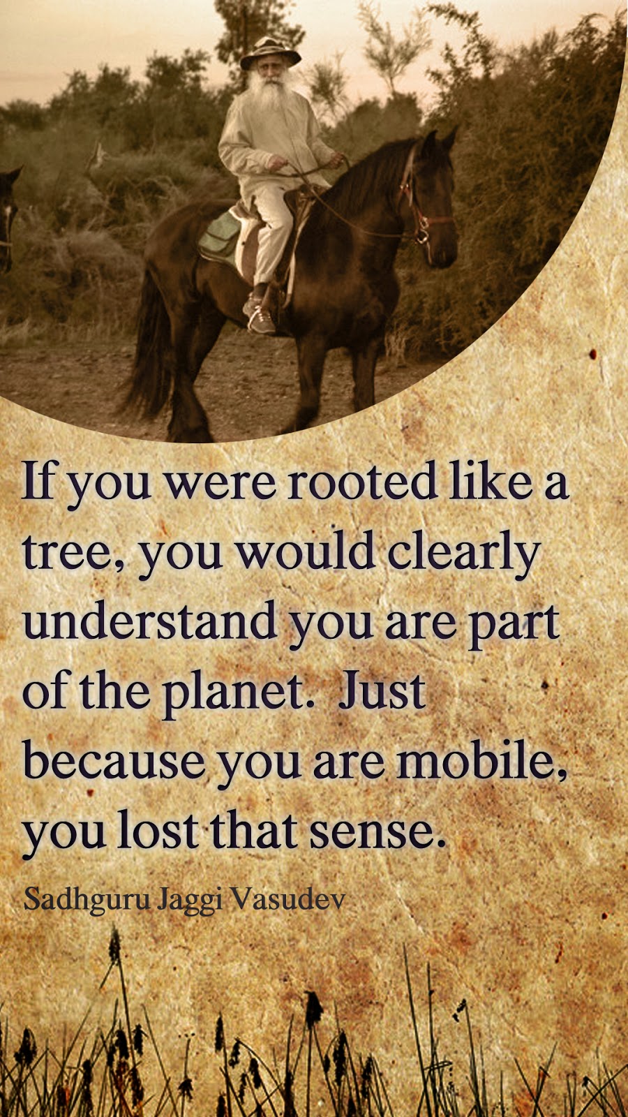 download quotes