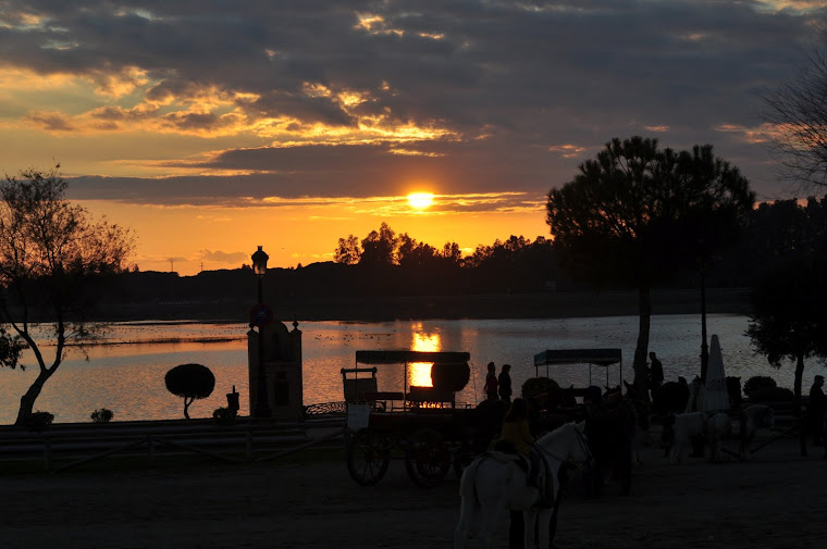 Puesta de Sol de la Marisma del Rocio