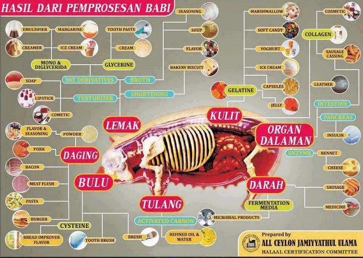 Ini 31 Istilah Lain dari Daging Babi, Waspadalah!