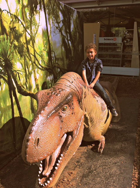 Lucas rides a model T-Rex at Bristol Zoo