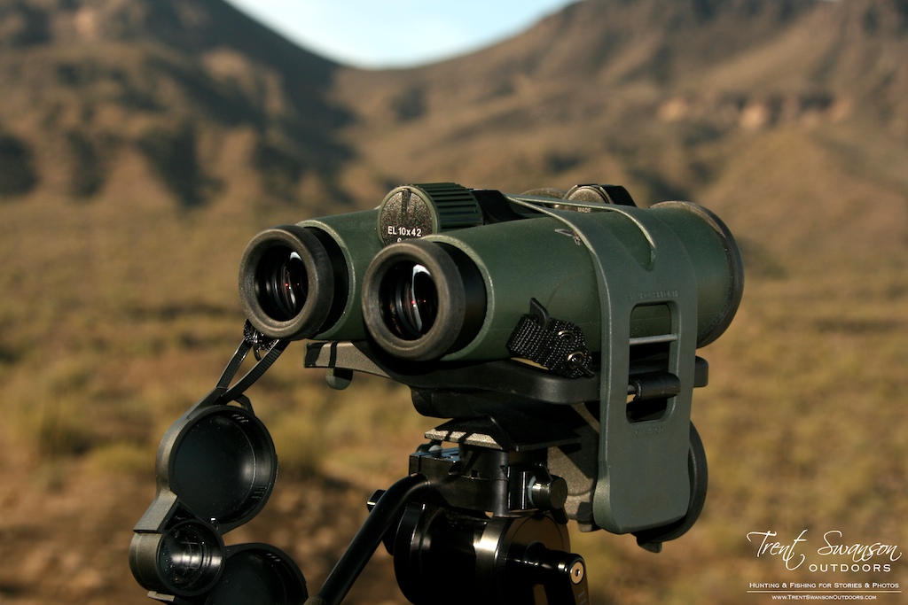 Trent Swanson Outdoors AZ Desert Bighorn Sheep Scouting Part 1