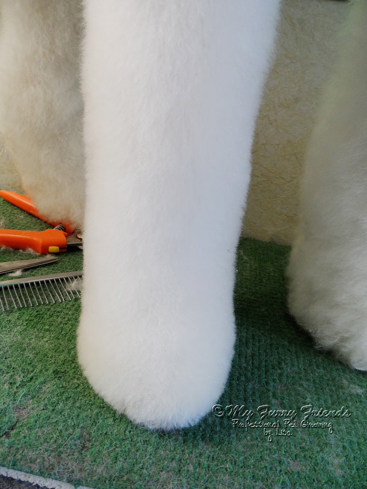 Pet Grooming The Good, The Bad, & The Furry Saving Matted Feet