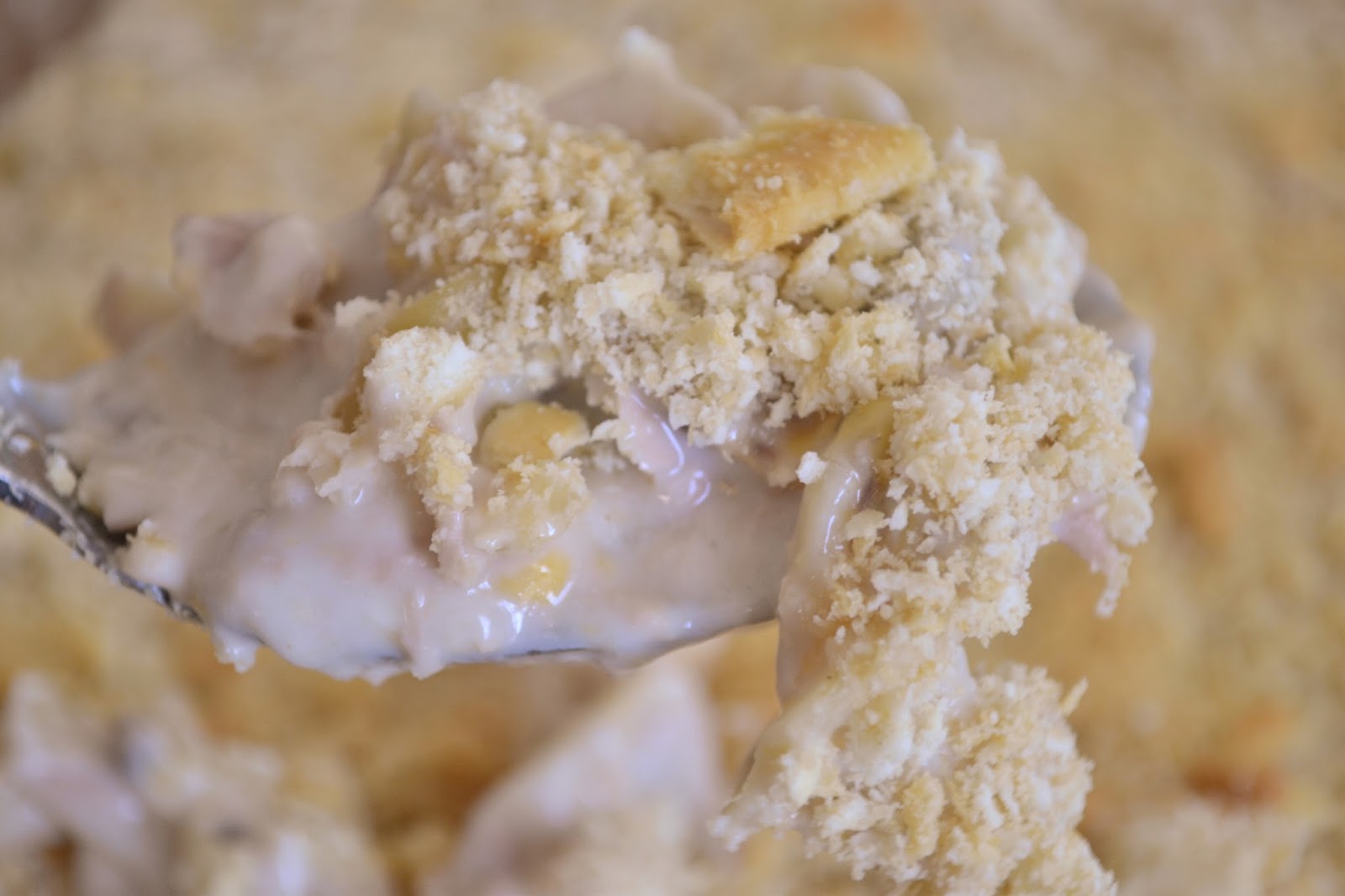 Cast Iron Stew Tuna Noodle Casserole