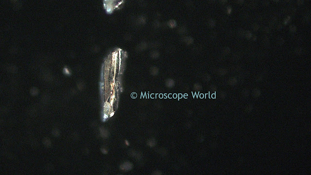 Microscopy image of gold under the metallurgical microscope.