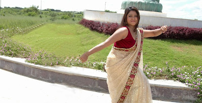 Tollywood Actress Jyothy in Hot Saree Photos