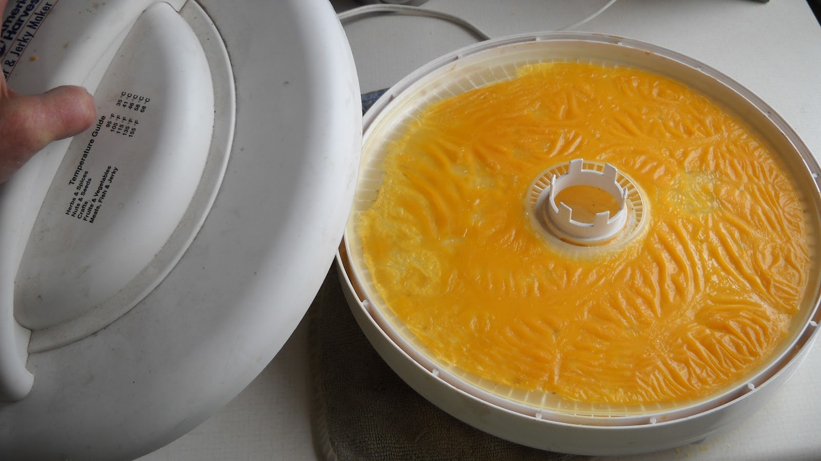 Poverty Prepping Dehydrating Eggs