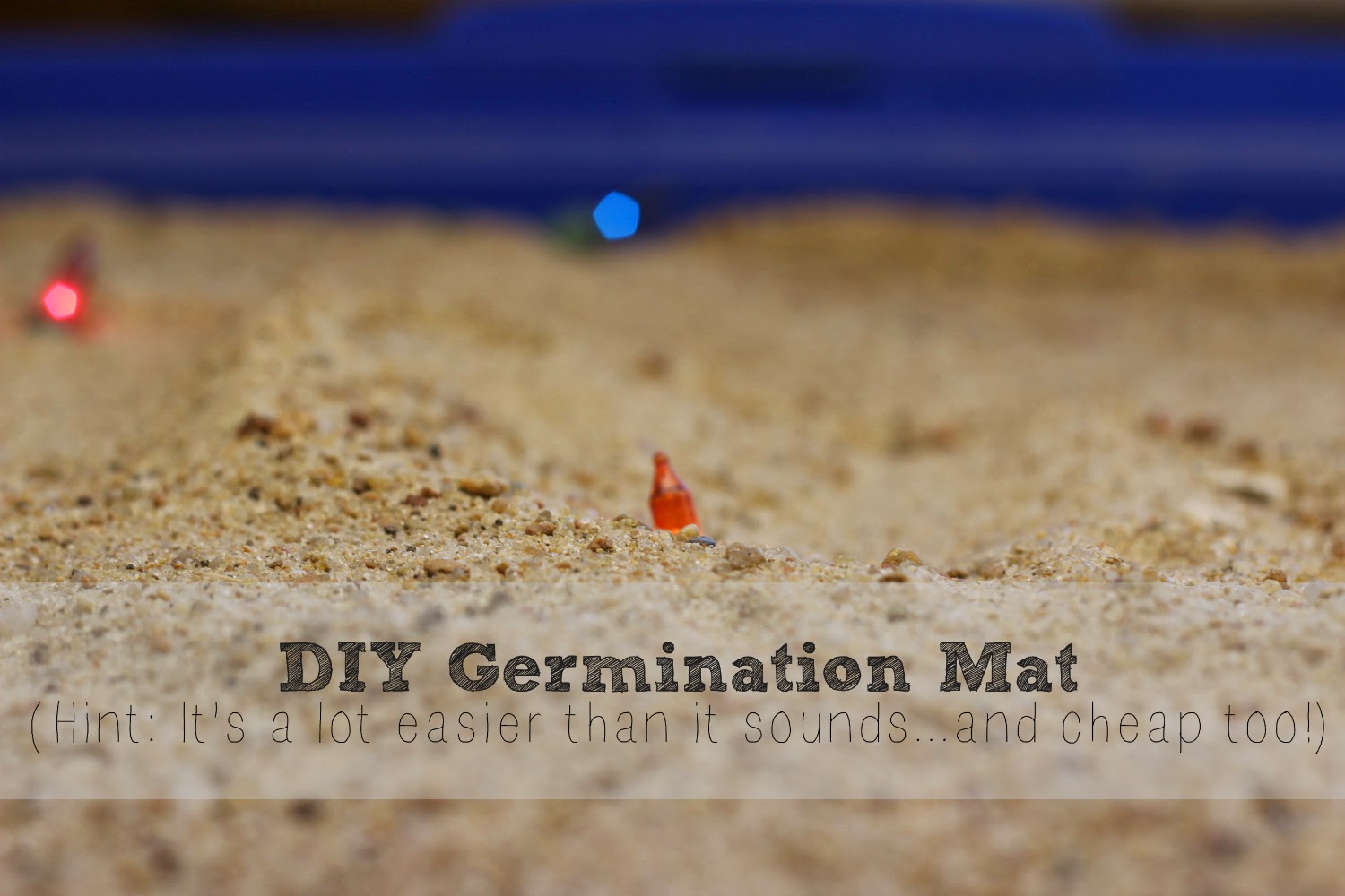 Farm To Table DIY Germination Mat