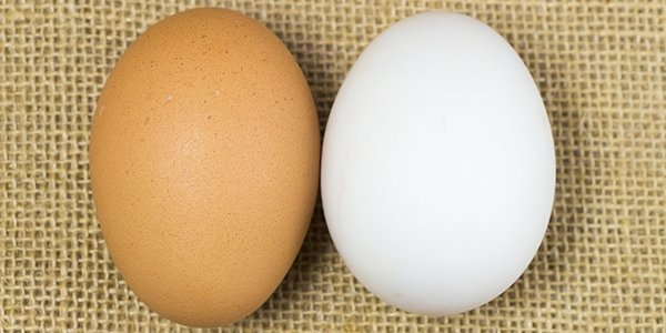 Beyaz ve kahverengi yumurtalar