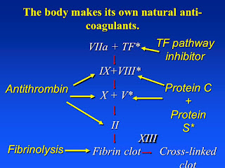 Body S Natural Anticoagulant Body S Natural Anticoagulant