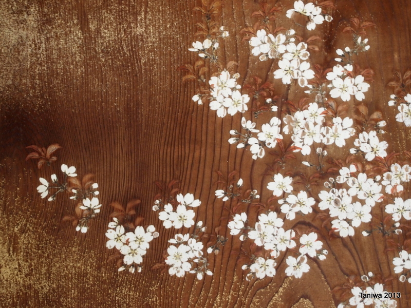 Taniwa Cherry blossoms everywhere