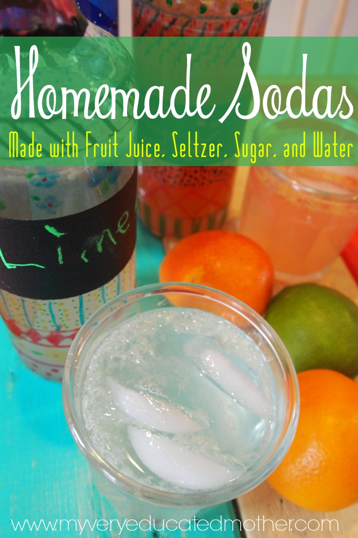 My Very Educated Mother Create Your Own Fruit Flavored Homemade Sodas