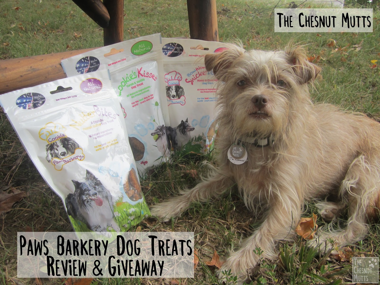 Review & Giveaway Paws Barkery Dog Treats The Chesnut Mutts