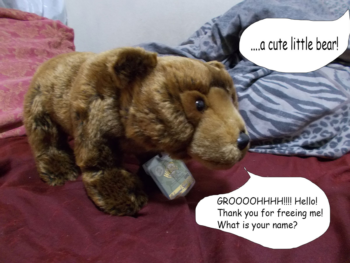 Webkinz Bear Webkinz Bear