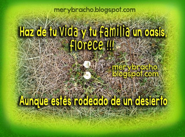 Hacer lo mejor en la vida. Haz de tu Vida y tu Familia un oasis, postales cristianas, aliento, imágenes, tarjetas para el facebook, para estado, muro. Éxito en la vida aun en los problemas.Buscar la paz