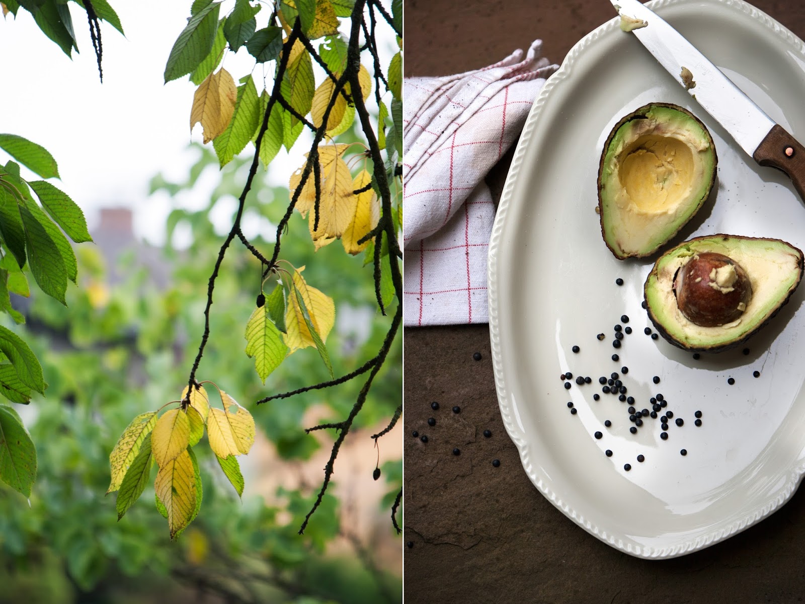 52 Plates of Delight Vom Philosophieren über Farben und Essen von