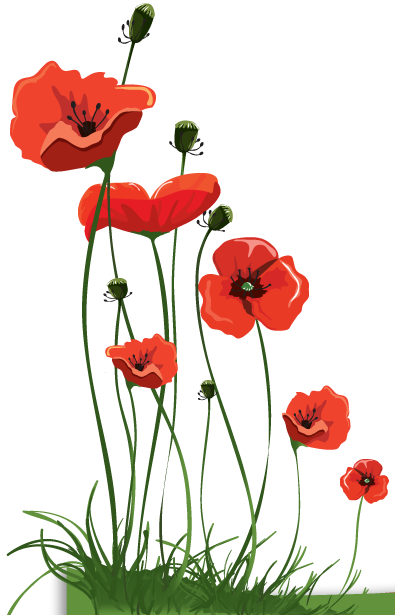 hi spirits: Mr Hobby's Poppies - a garden poem