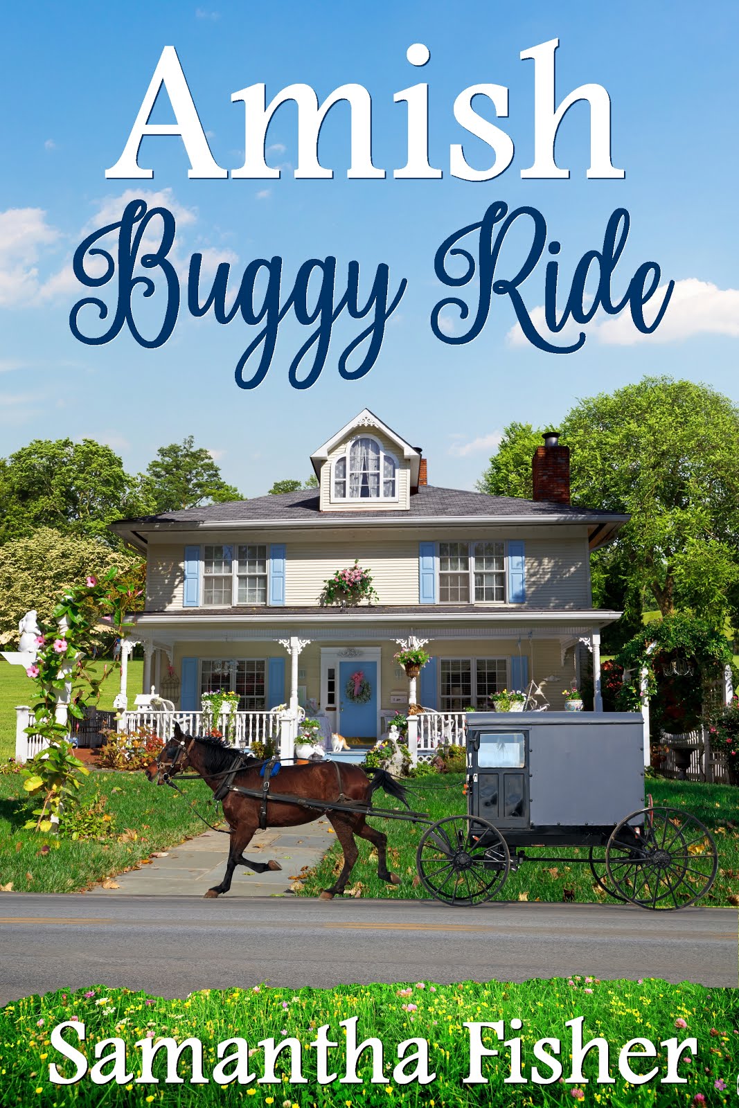 Amish Buggy Ride