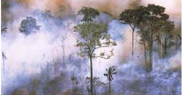 Sd Negeri Dukuh 03 Pengaruh Kegiatan Manusia Terhadap Keseimbangan Ekosistem Sd Negeri Dukuh 03 Pengaruh Kegiatan Manusia Terhadap Keseimbangan Ekosistem