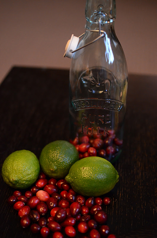 Fancy Napkin .cranberry lime vodka.