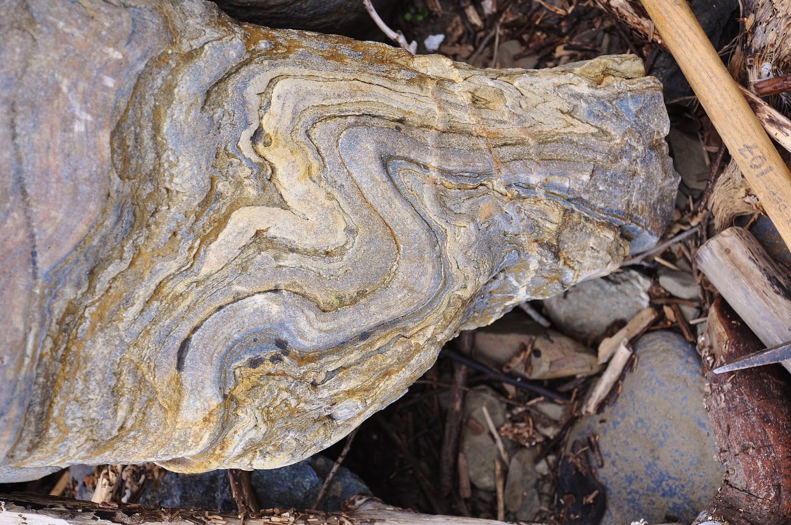 Down to Earth Questions Brittle ductile deformation in subducting slabs