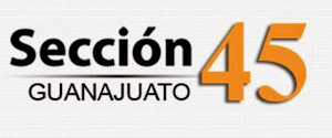 SNTE Sección 45