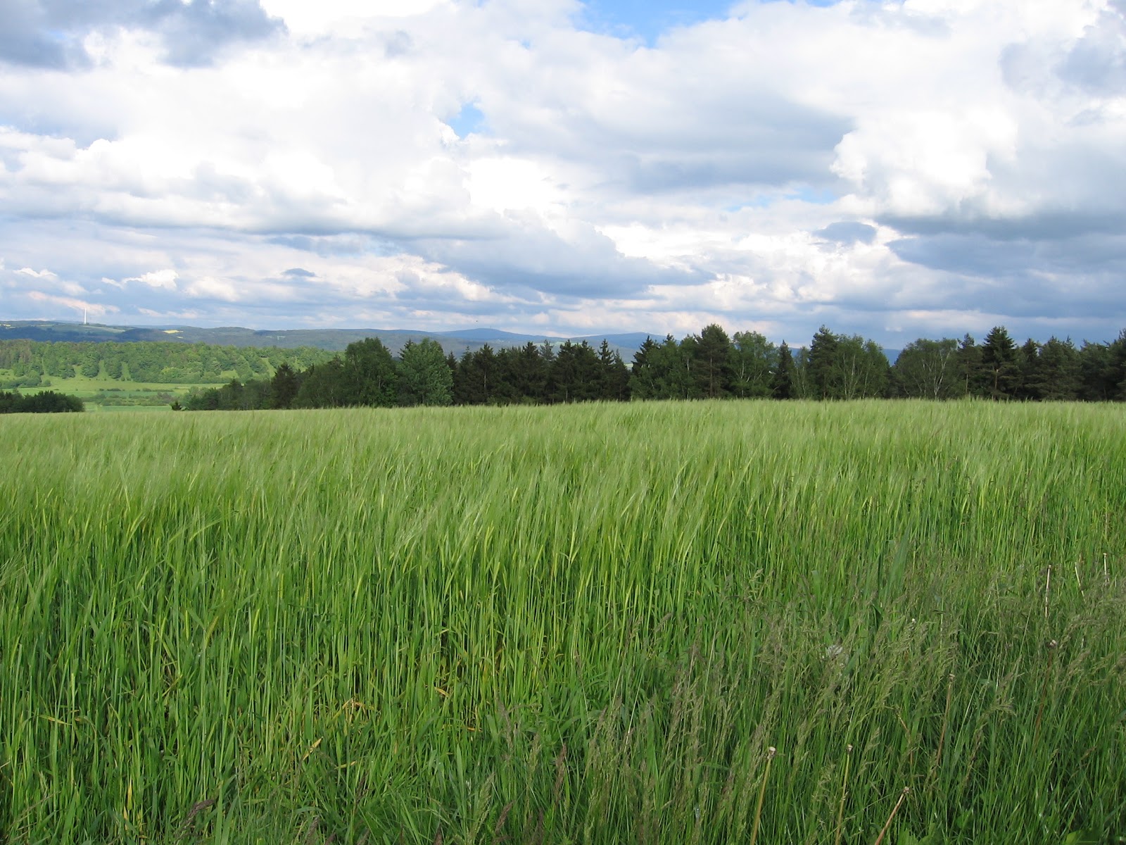 T I X Weekly Galerie Eyegenart Gaby Ludwig Rendel Freude