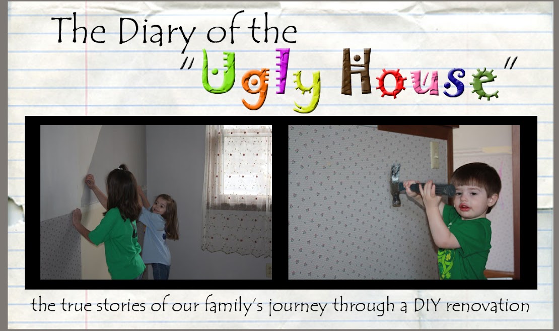Diary of the "Ugly House"