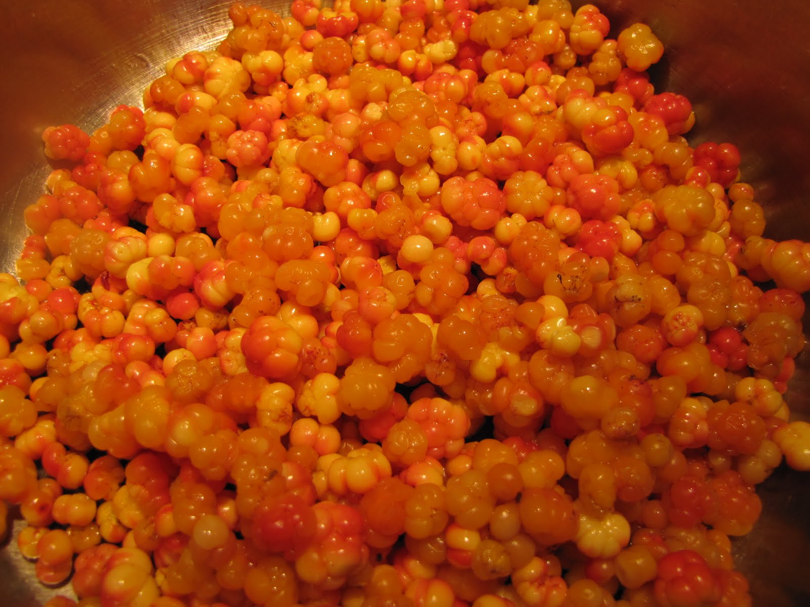 Cloudberry Bakeapple Jam Recipe