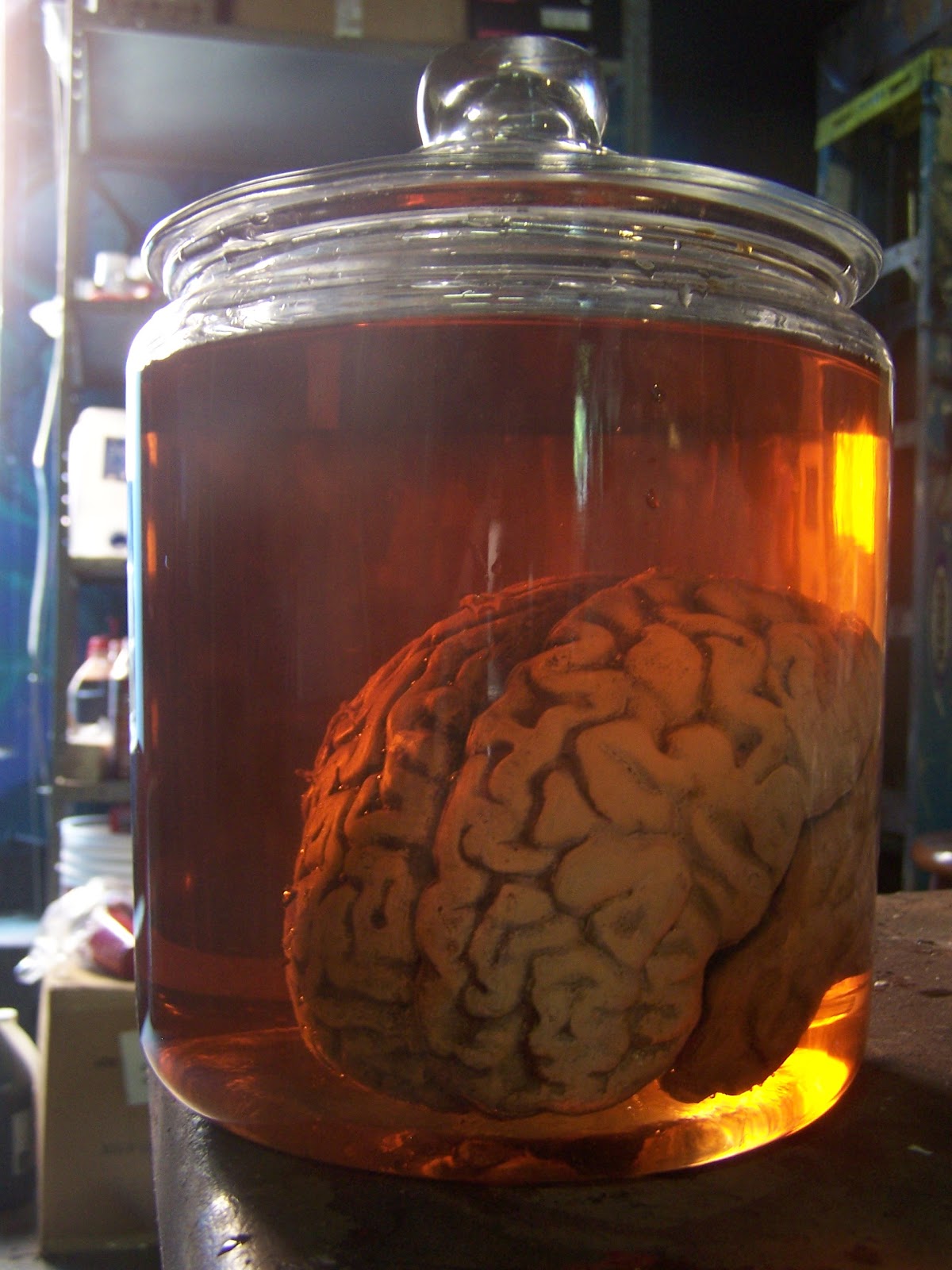 Brain Jack Image Brain Jar