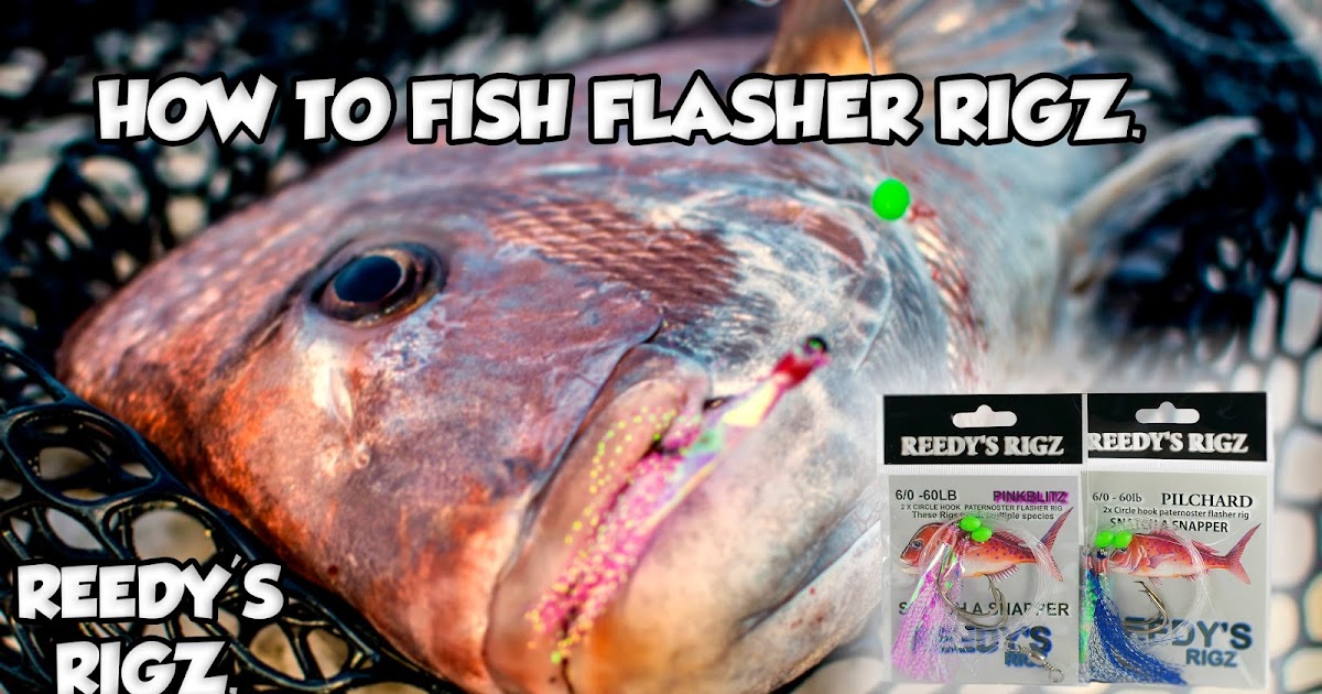 Fishing Rig Tying Snapper Rigs Pre Tied Bait N Tackle How To Bait A