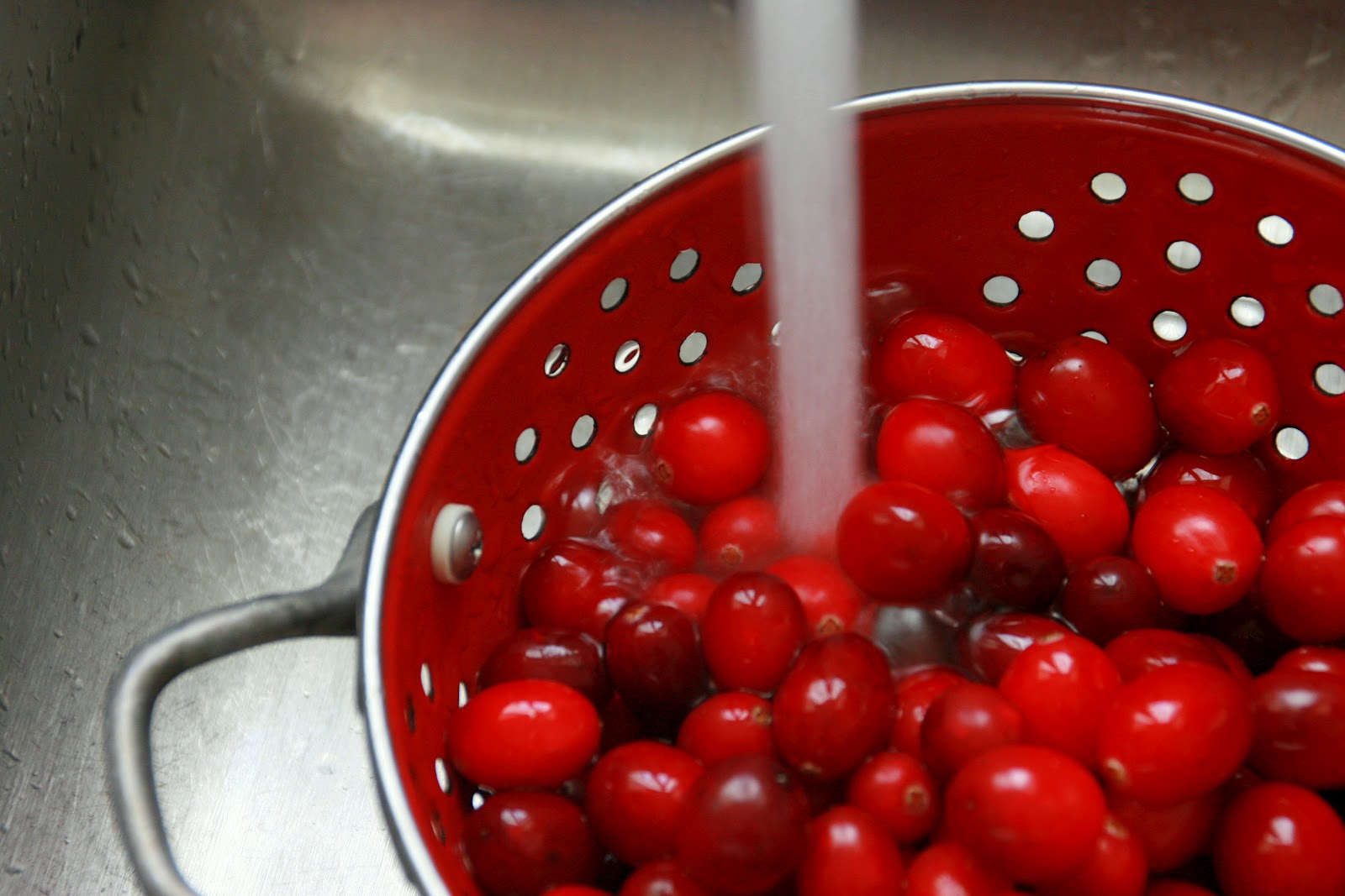 Cooking with Chopin, Living with Elmo Homemade Oven Dried Cranberries