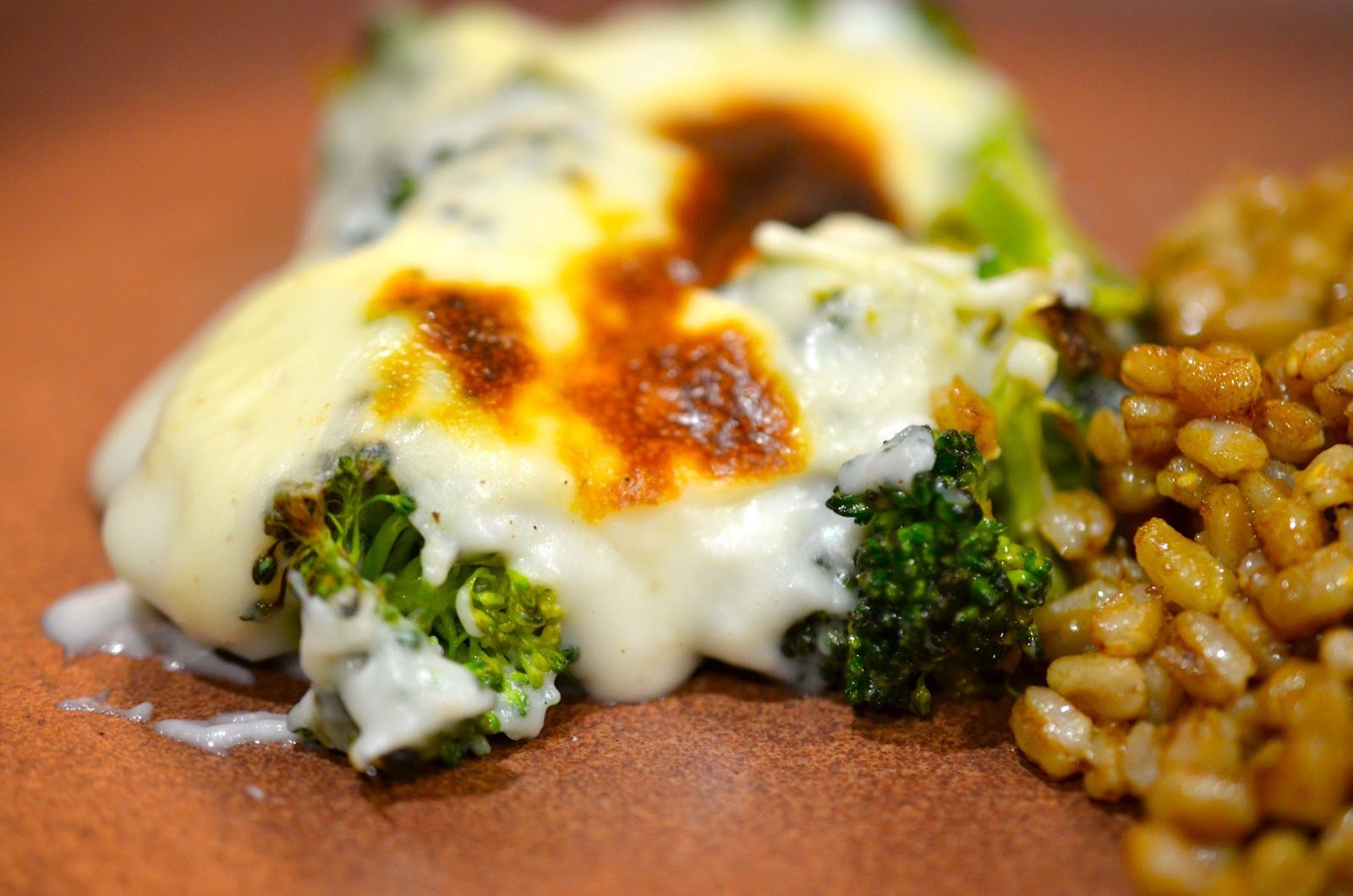 Omnivorous: Broccoli with Béchamel