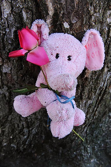 washington s other monuments pink elephant memorial for washington s other monuments pink elephant memorial for