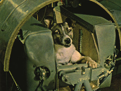 laika sputnik laika sputnik