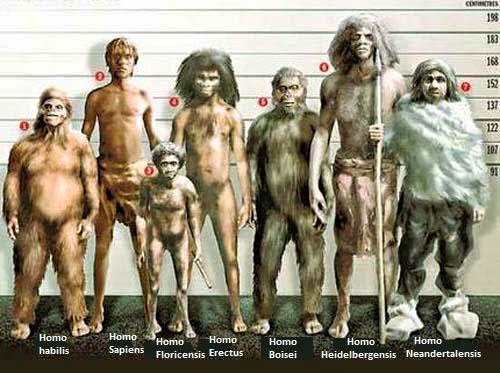 DICCIONARIO PREHISTORIA diccionario prehistoria: