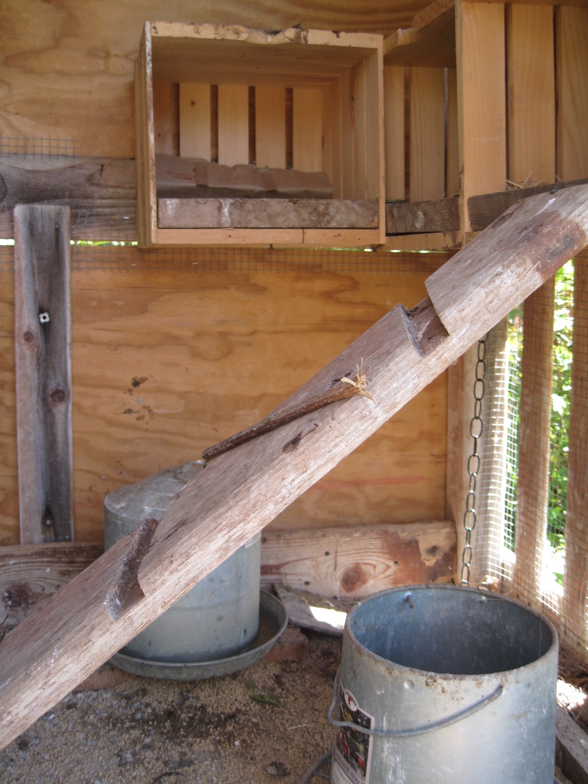 French Knots The "Chic"iest Chicken Coop