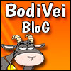 BodiVei Blog