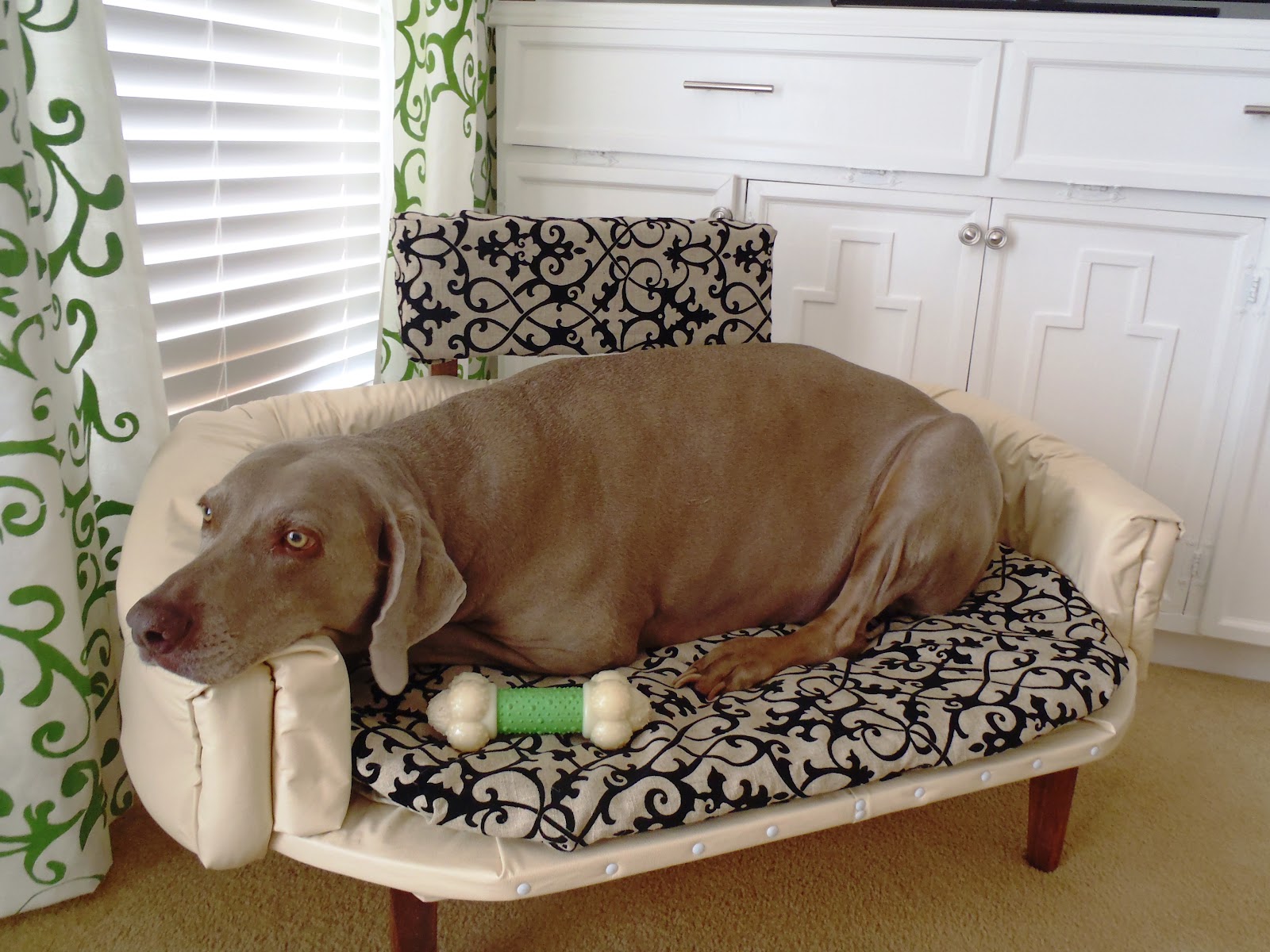 DIY Elevated Wooden Dog Bed - DIY Woodworking