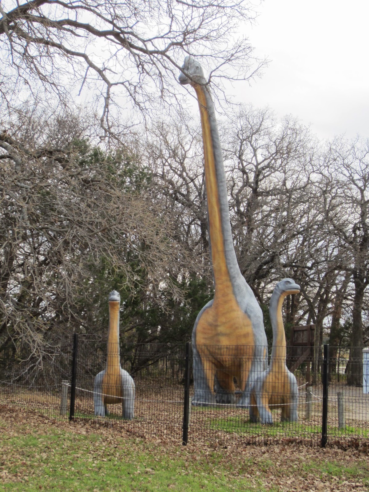 Souvenir Chronicles: TEXAS: DINOSAUR VALLEY STATE PARK, THE FORT WORTH STOCKYARDS, AND THE Y. O ...
