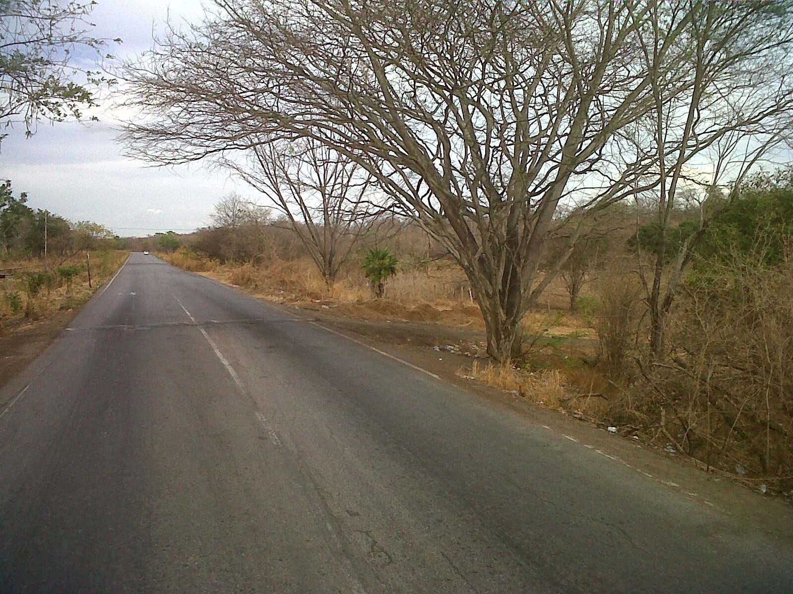 Postales de AYRE Venezuela San Rafael y Altagracia de Orituco, Guárico