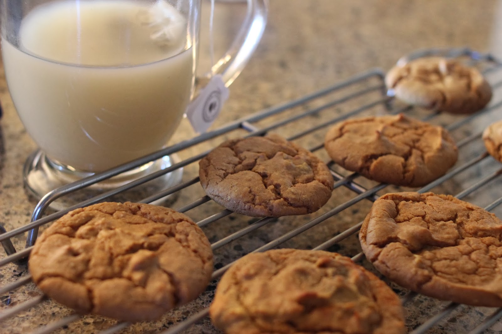 Running Girl Health and Fitness Pumpkin Spice Garbanzo Bean Cookies